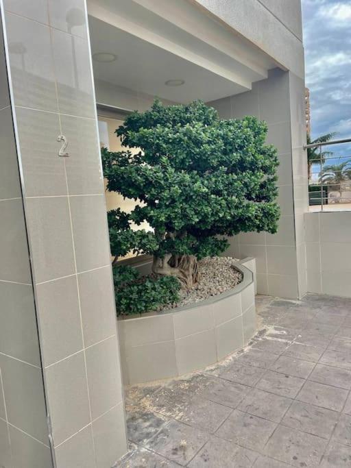 Enjoy Apartment Aparcamiento 5 Min De La Playa Calpe Eksteriør billede